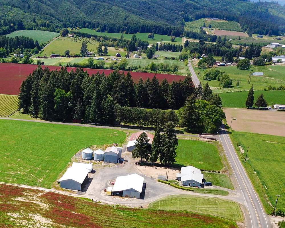 Link to Washington County aerial 360° photo