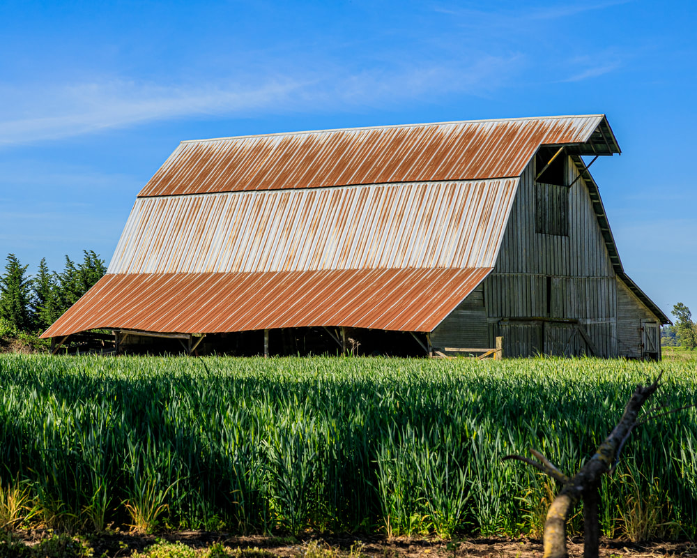 Old barn in Coburg, Oregon