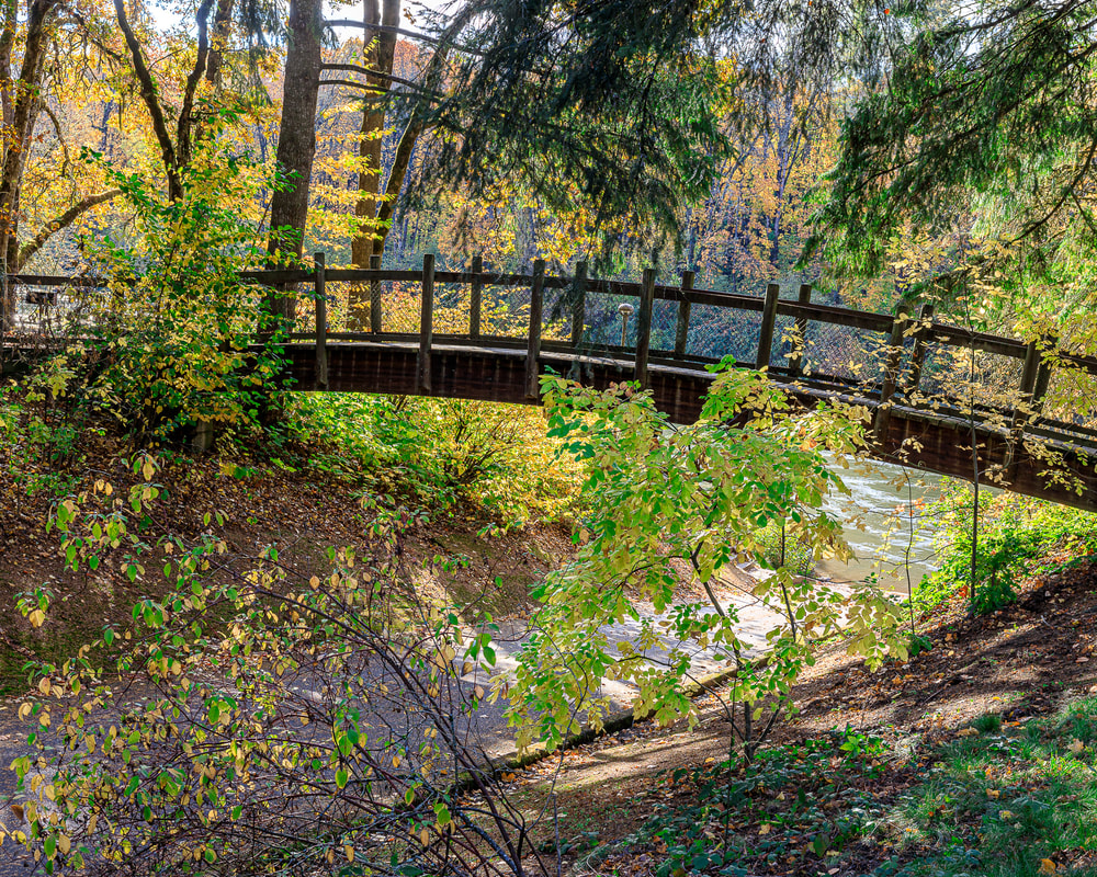 Footbridge in Hyak County Park, Albany