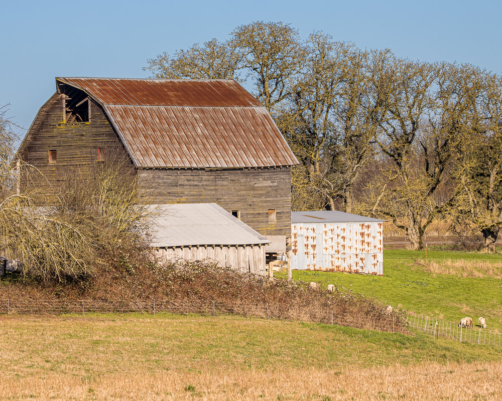 Photo of barn in Marion County, Oregon