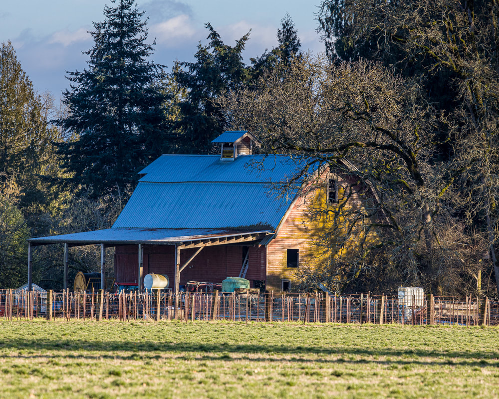 Photo of barn in Marion County, Oregon