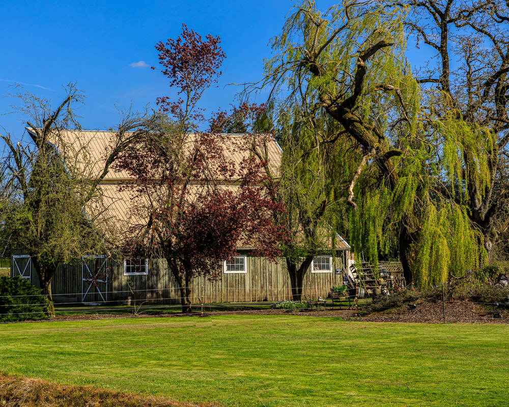 Oregon barn (MarionCounty)