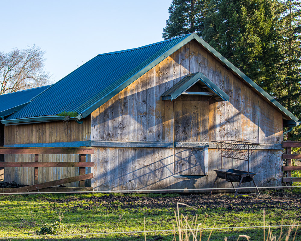 Oregon barn (Marion County)