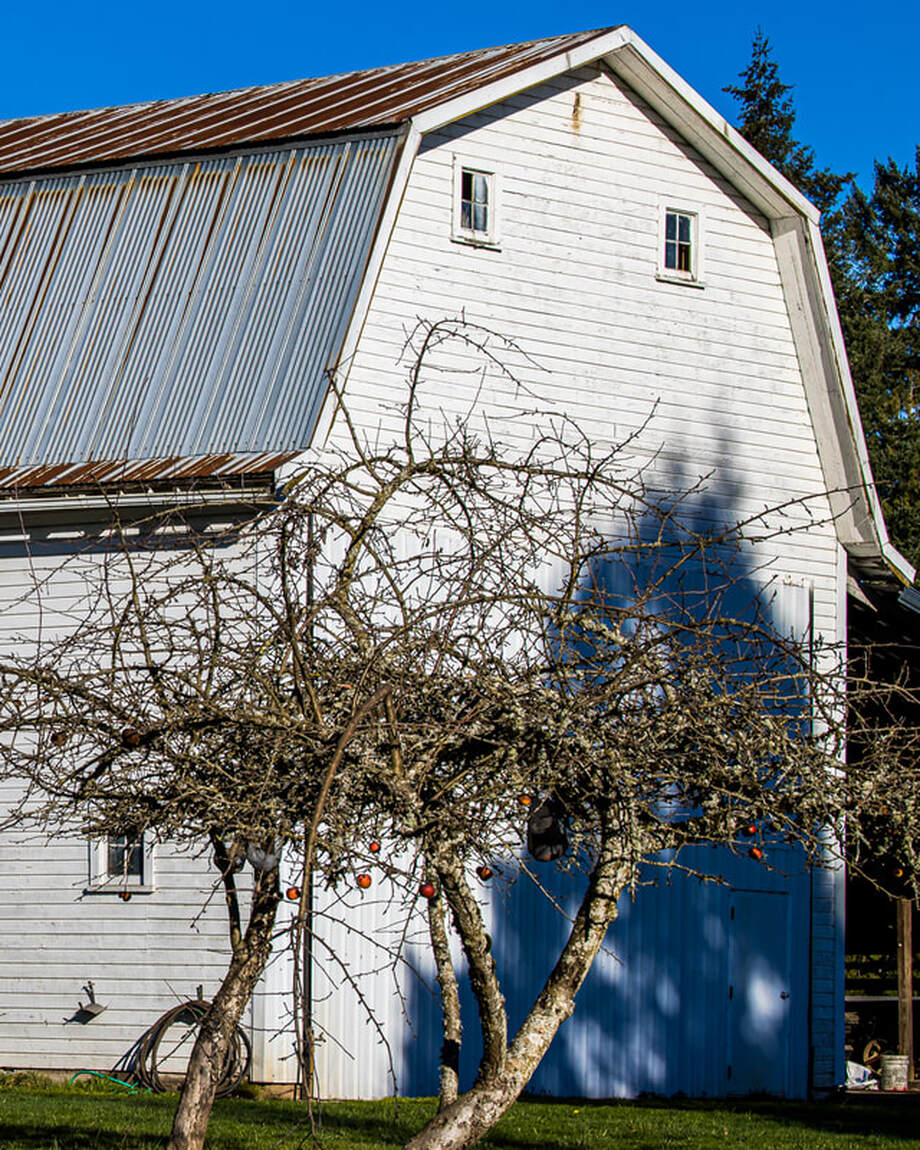 Oregon barn (Marion County)