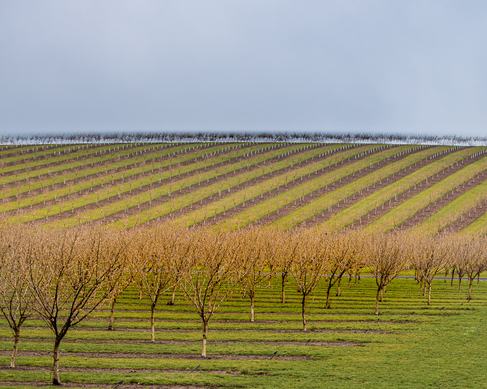 Marion County Oregon landscape
