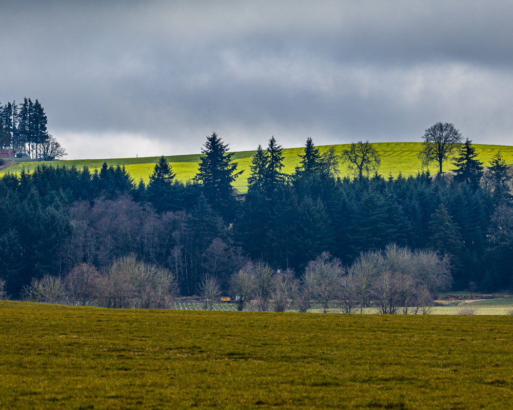 Marion County Oregon landscape