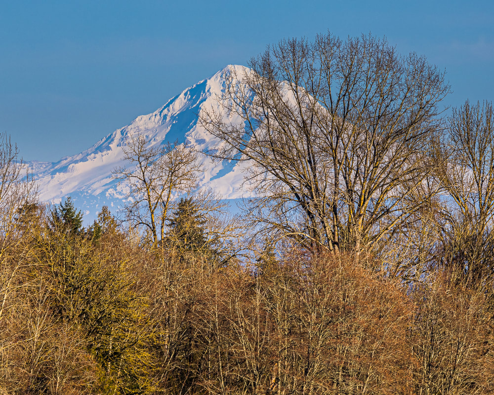 Mt. Hood