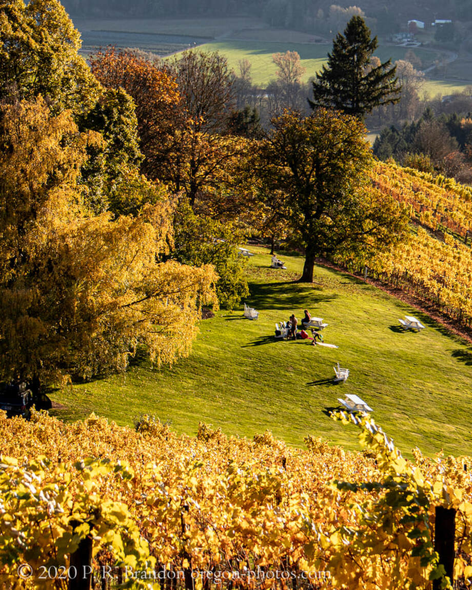 Photo of David Hill Winery on David Hill Rd.