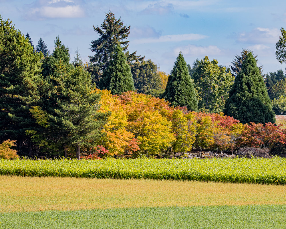 Multnomah County Oregon landscape