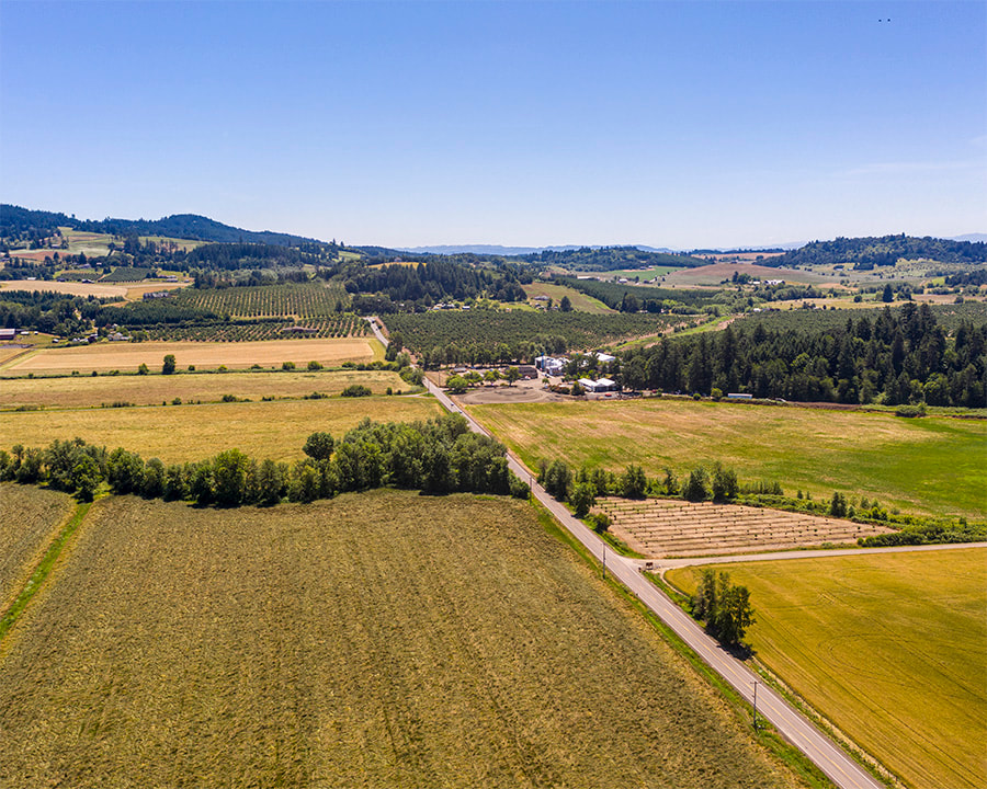 Link to Yamhill County, Oregon aerial 360° photo