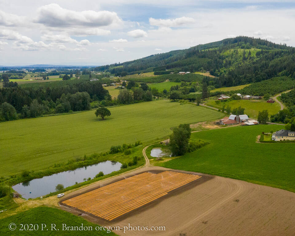 Link to Washington County aerial 360° photo