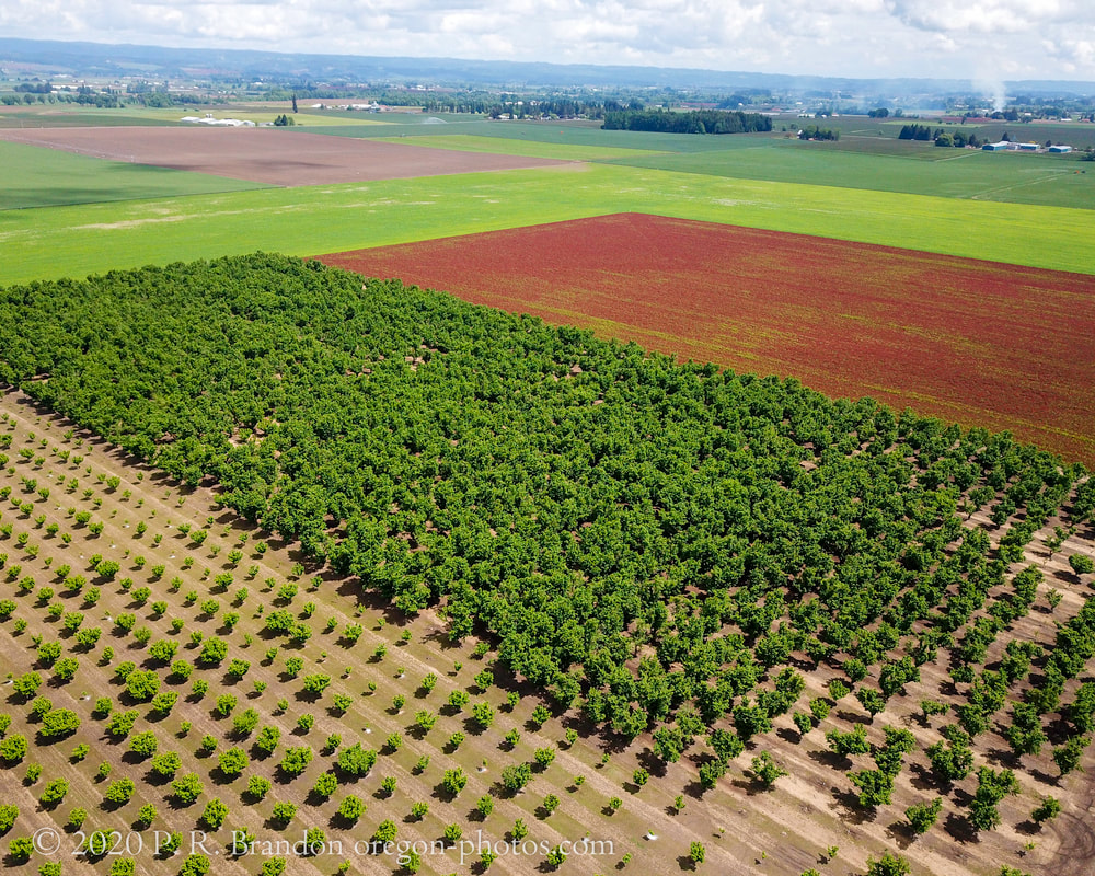 Link to Washington County aerial 360° photo