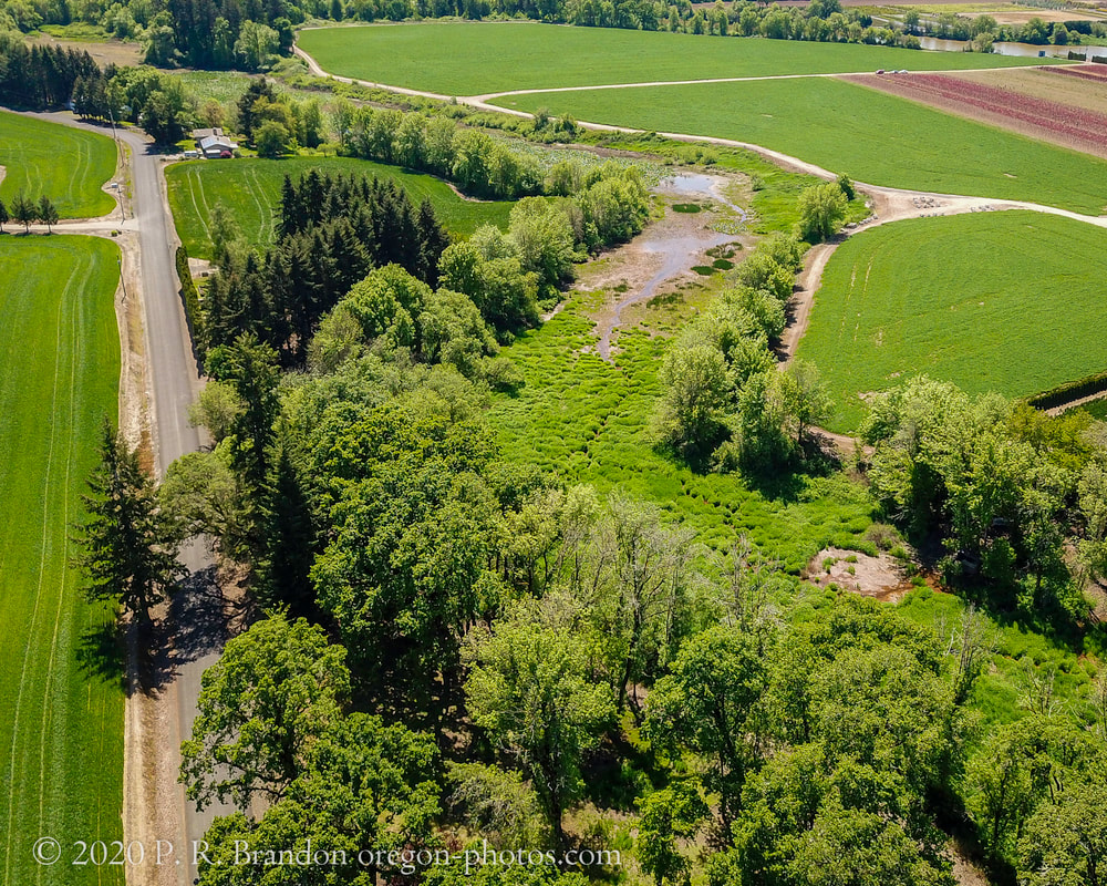 Link to Washington County aerial 360° photo