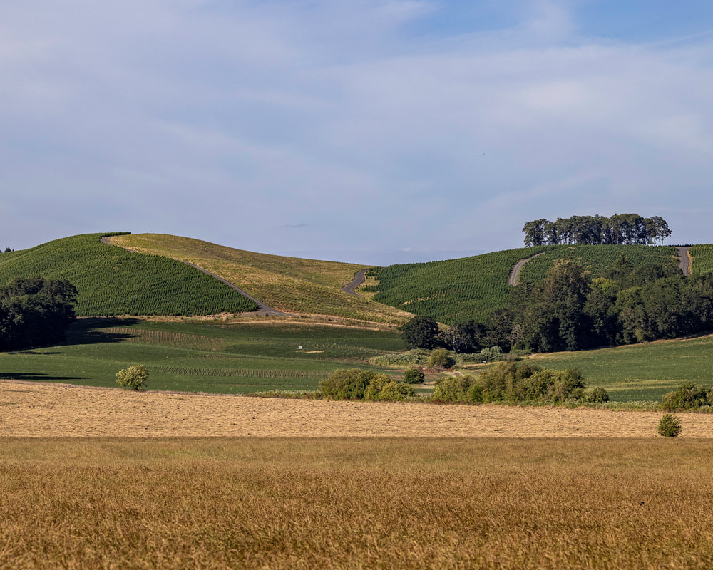 Landscape photo on Airlie Rd.