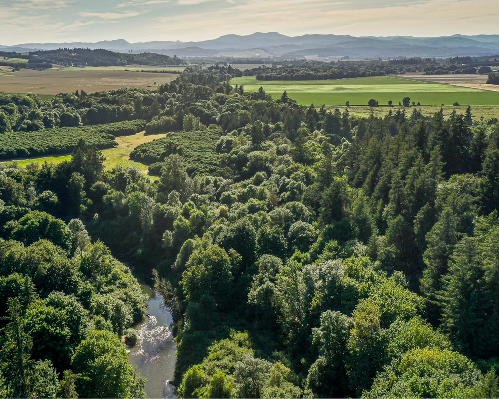 Photo of Little Luckiamute River at Helmick Rd. (drone view)