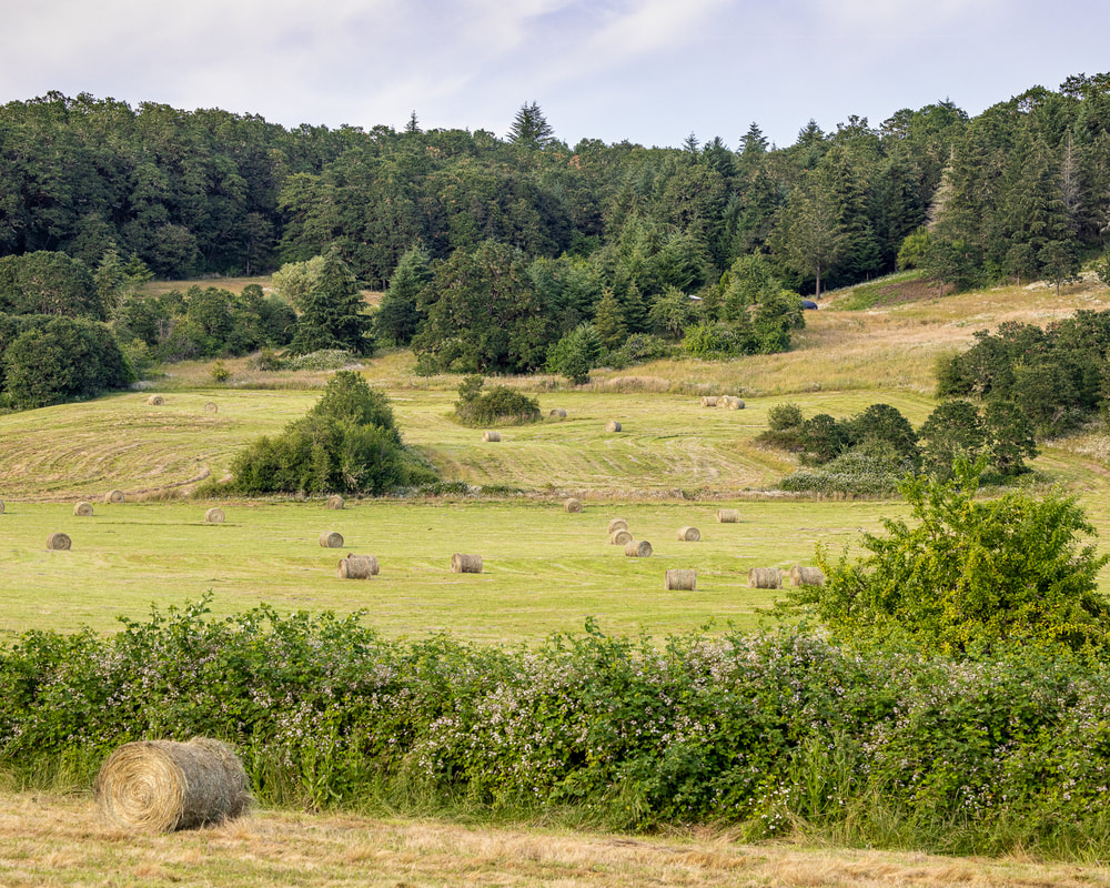 Photo of Polk County, Oregon landscape