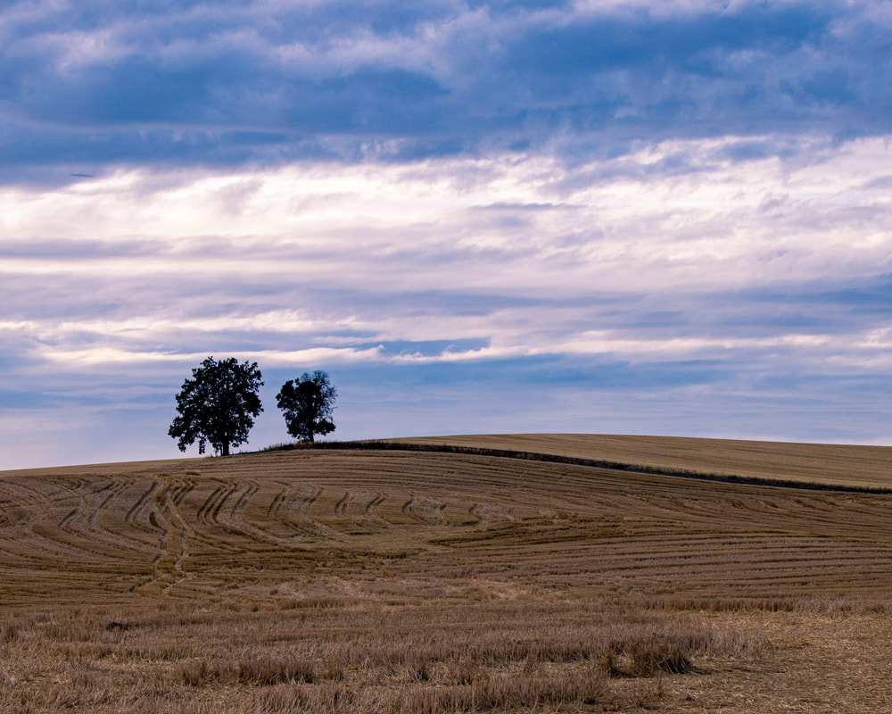 Washington County Oregon landscape