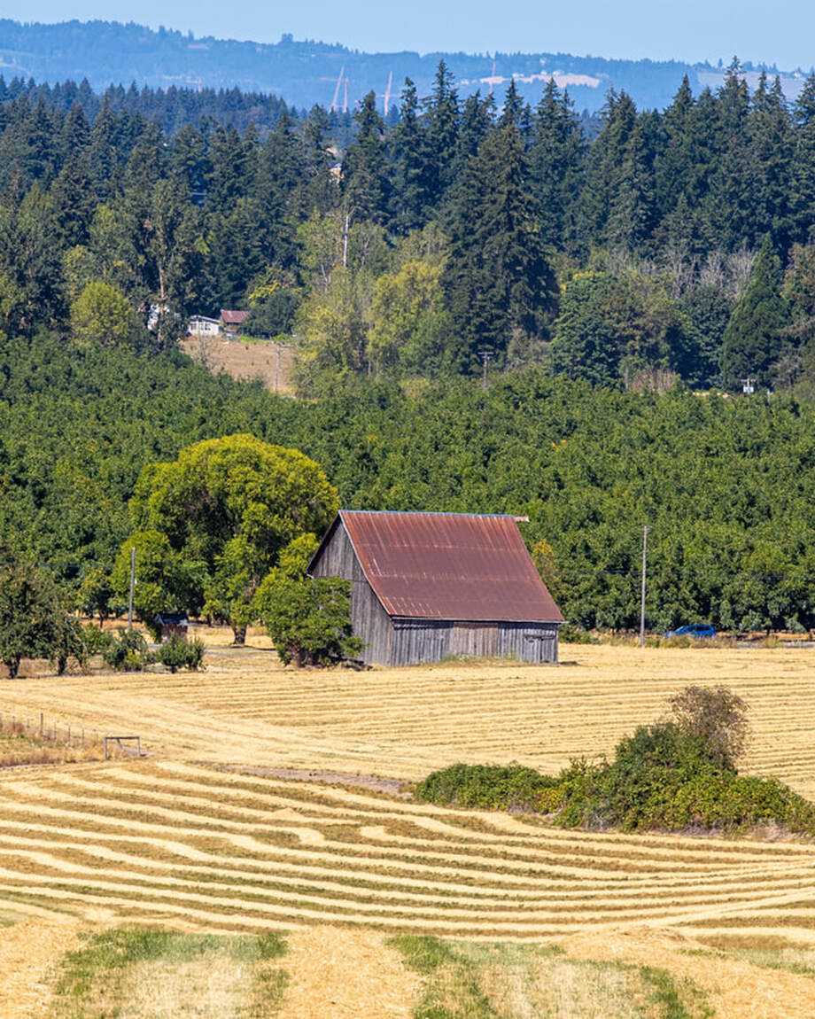 Photo of Washington County, OR barn
