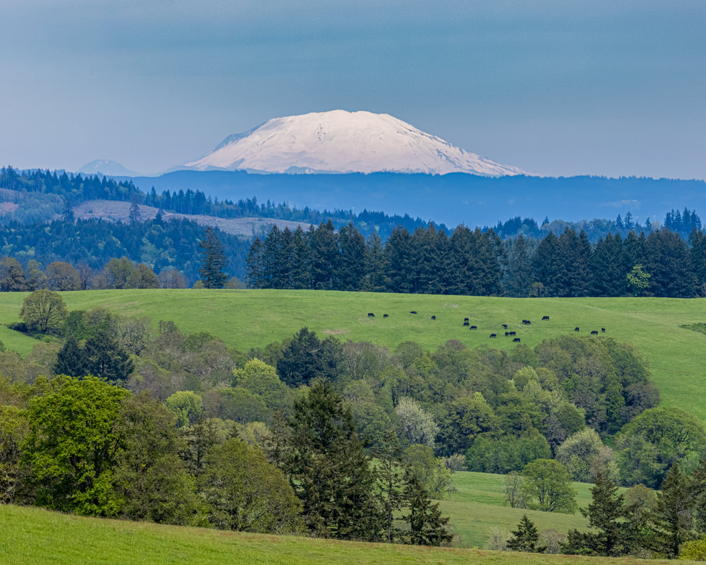Hillside in Washington County, Oregon