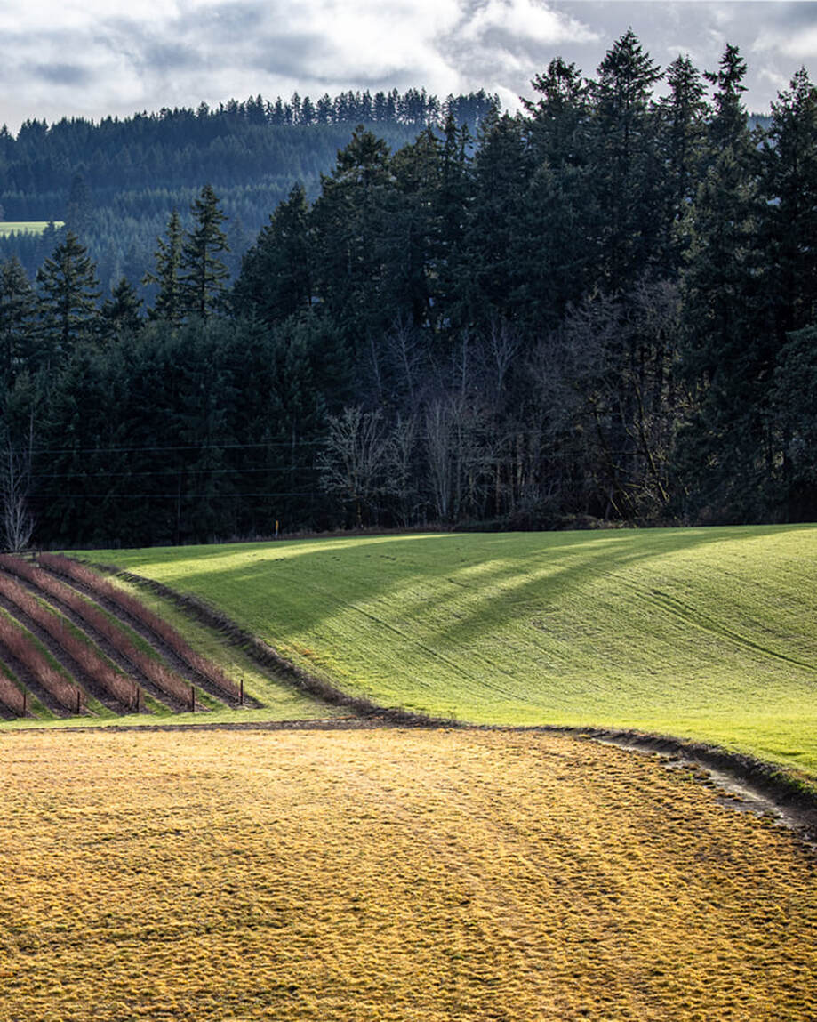 Washington County Oregon landscape 