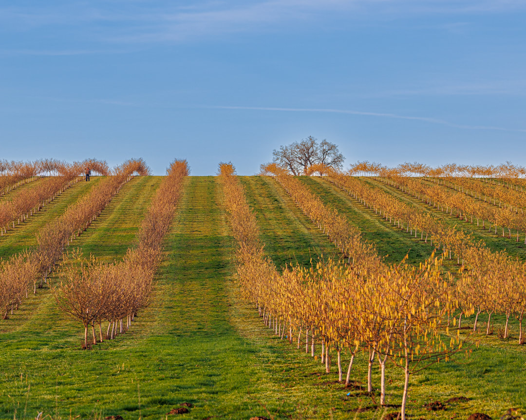 Washington County landscape photo