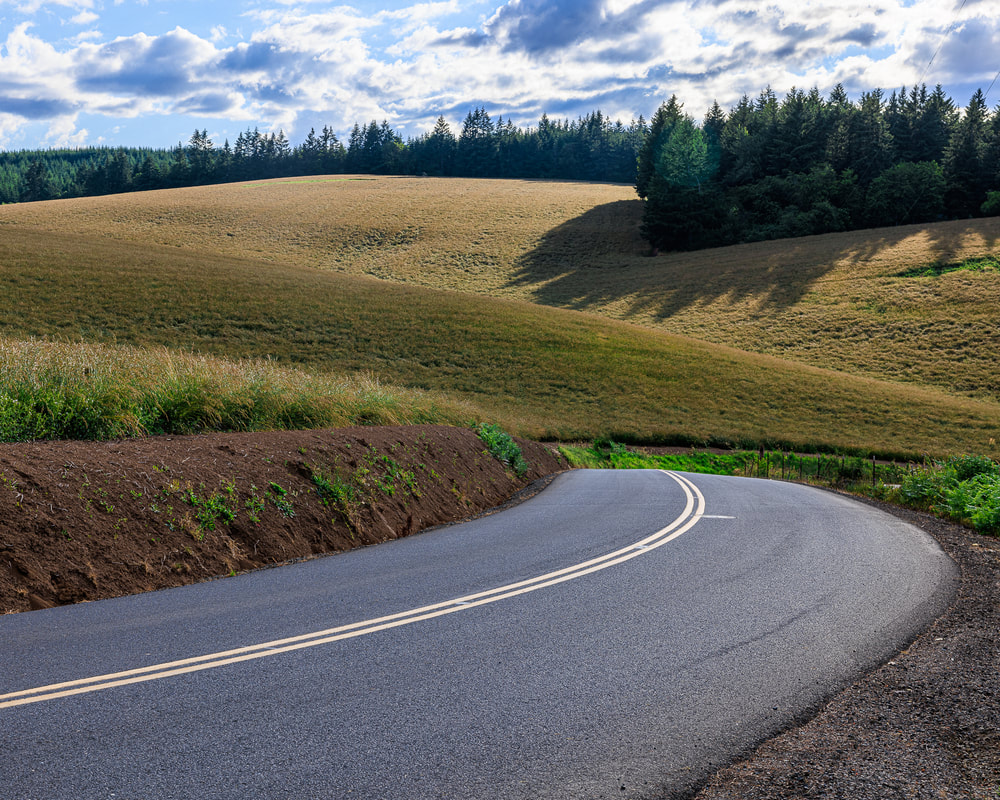 Dixon Mill Rd., Laurelwood, Oregon landscape