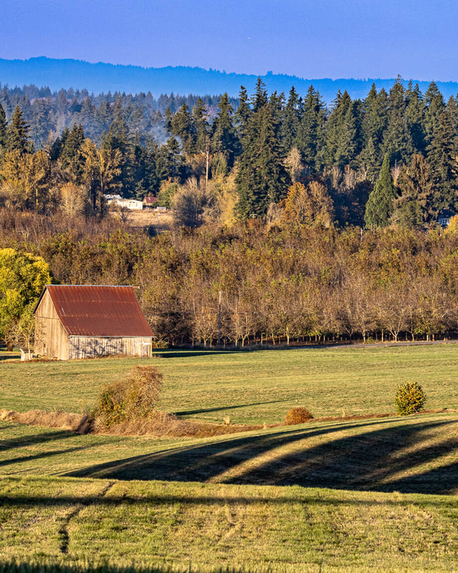 Barn on Holly Hill Rd., Laurel, Oregon