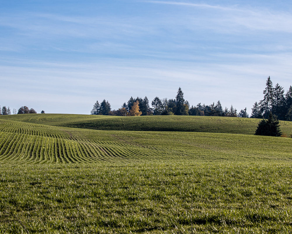 Washington County Oregon landscape  (drone view)
