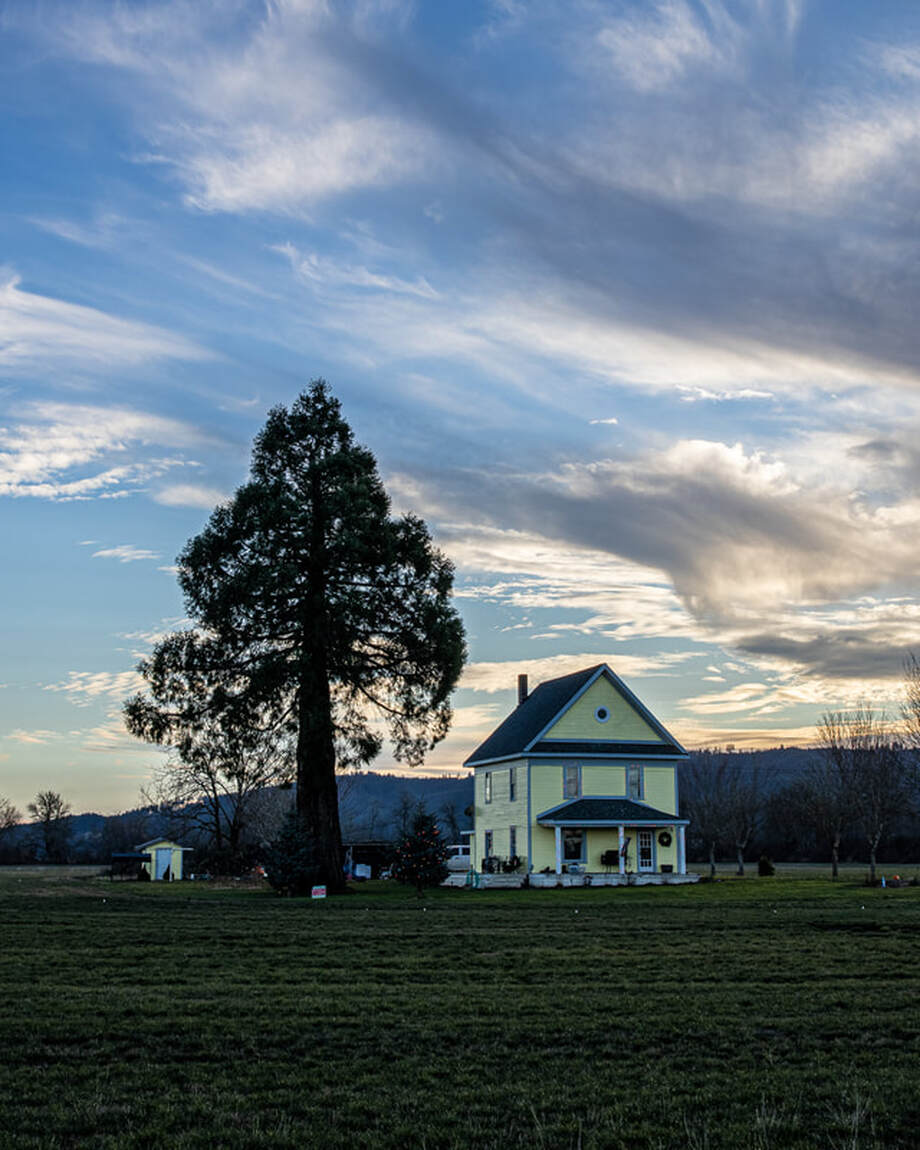 Oregon trees (Washington County)