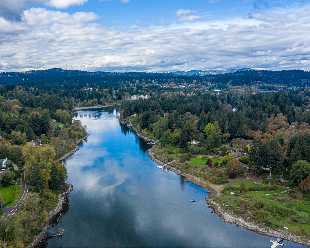 The Willamette River