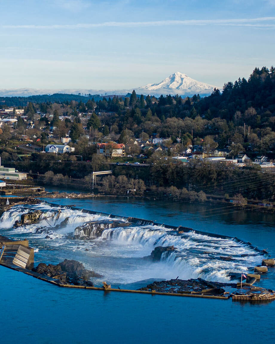 Aerial view of Willamette Falls