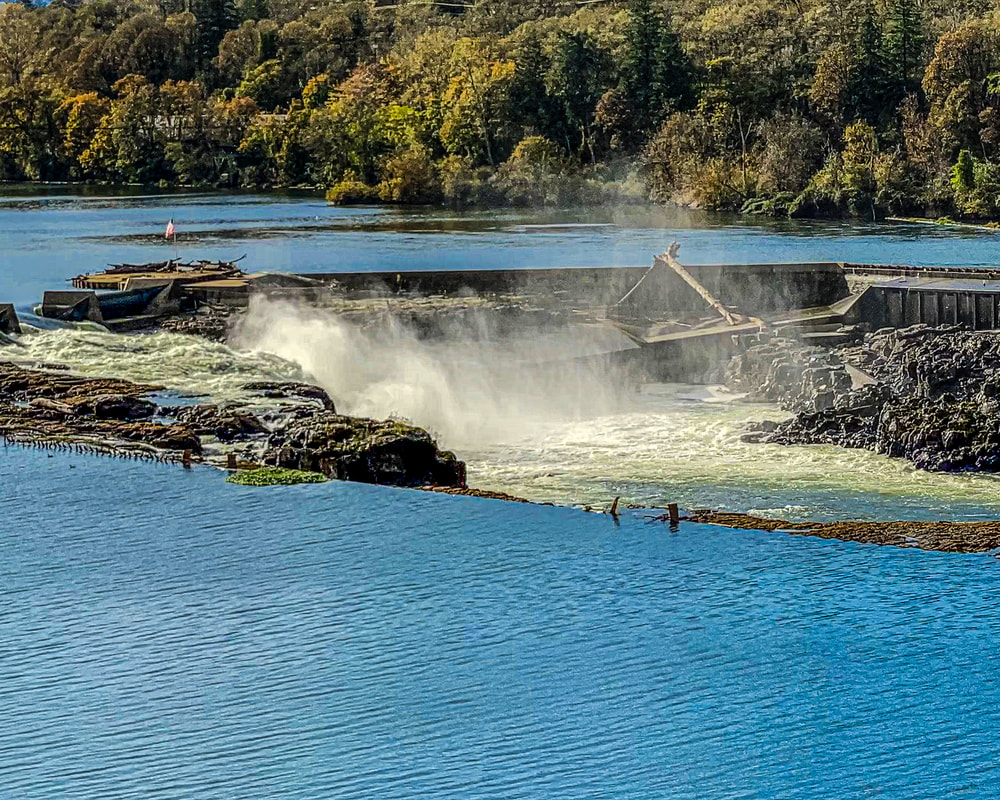 Willamette Falls