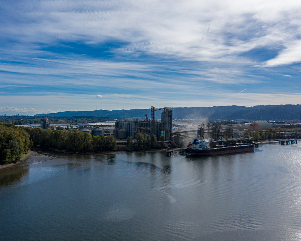 The Willamette River northeast of Portland