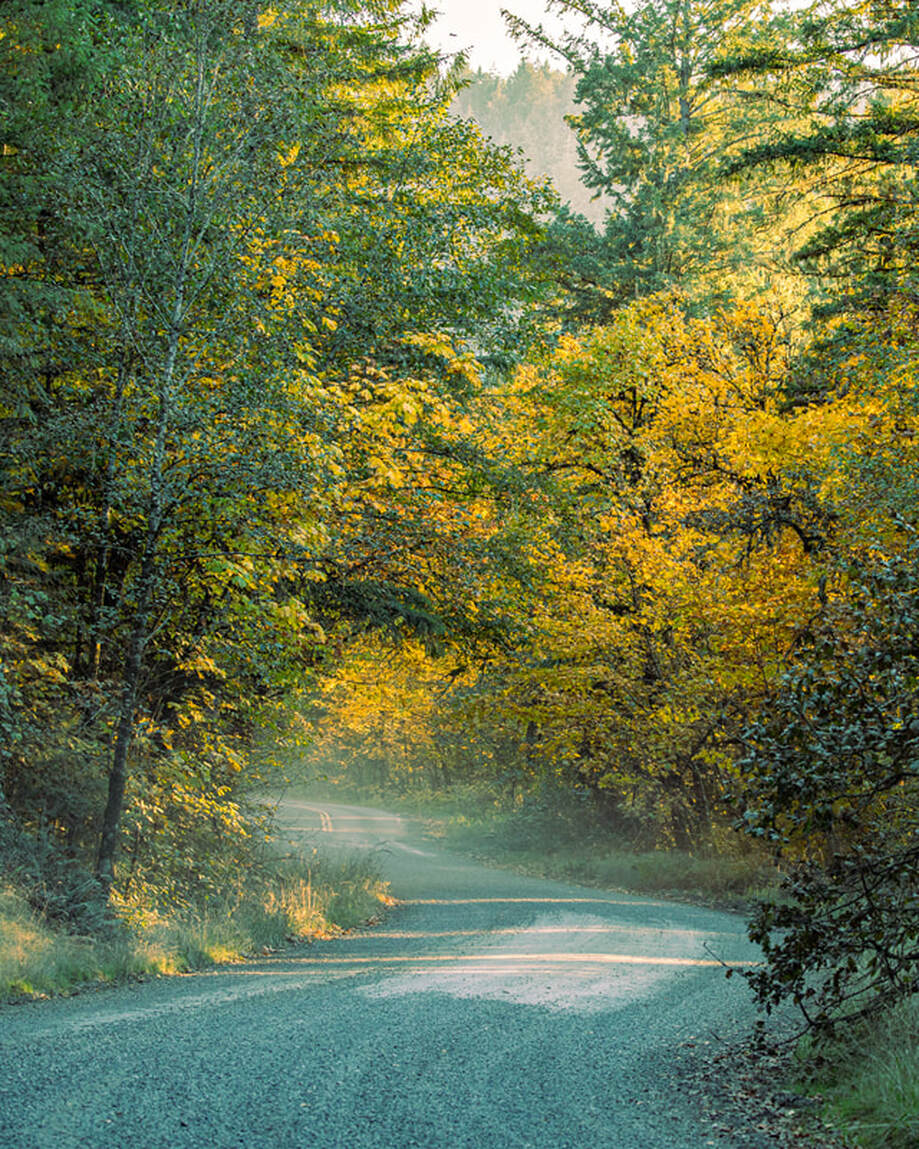 Yamhill County Oregon landscape