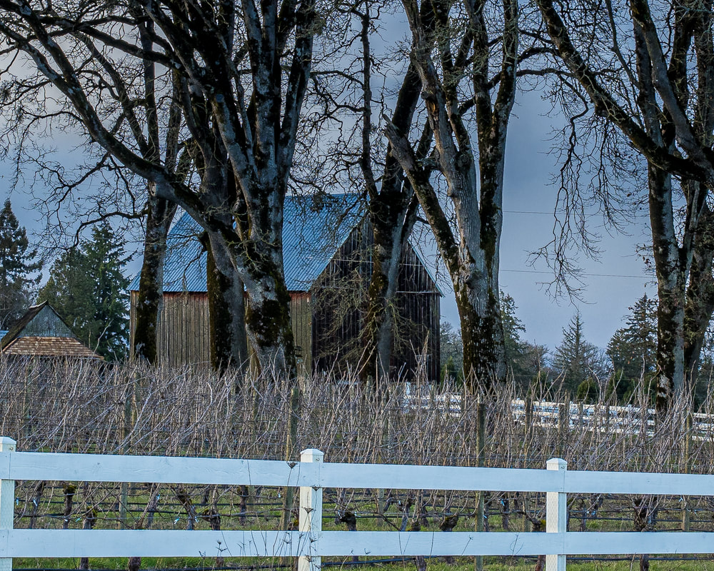 Old Oregon barn (Yamhill County)