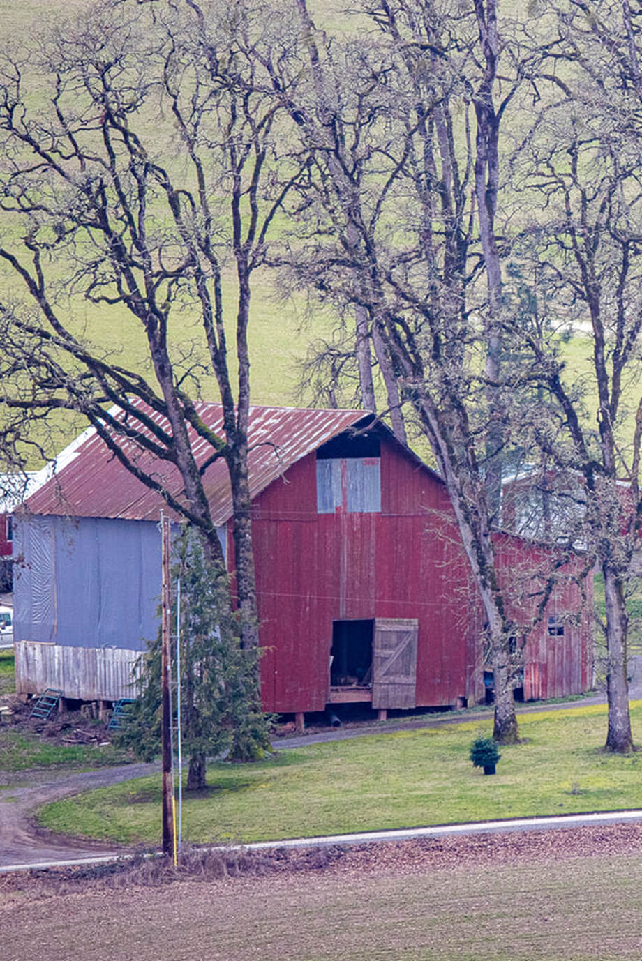 Old Oregon barn (Yamhill County)
