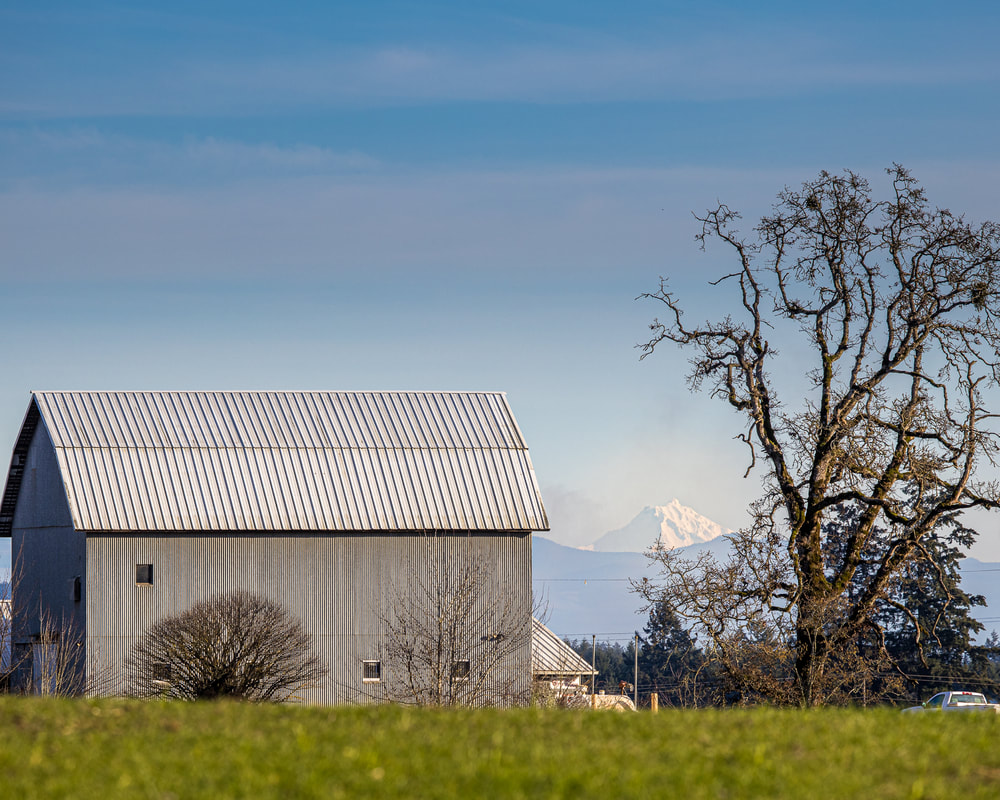 Photo of barn in Yamhill County, Oregon
