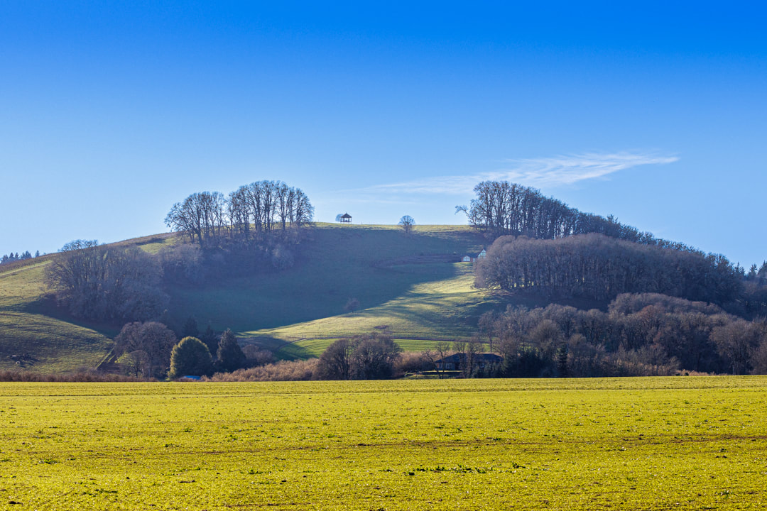 View of hillside with gazebo from Peavine Rd., McMinnville, Oregon