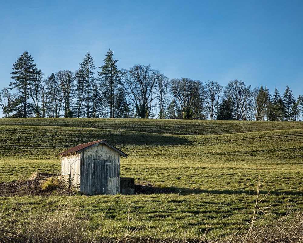 Yamhill County Oregon landscape