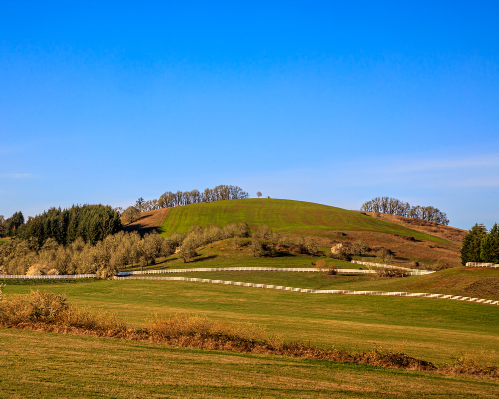 Picturesque scene of hillside on SW Masonville Rd. near McMinnville, Oregon