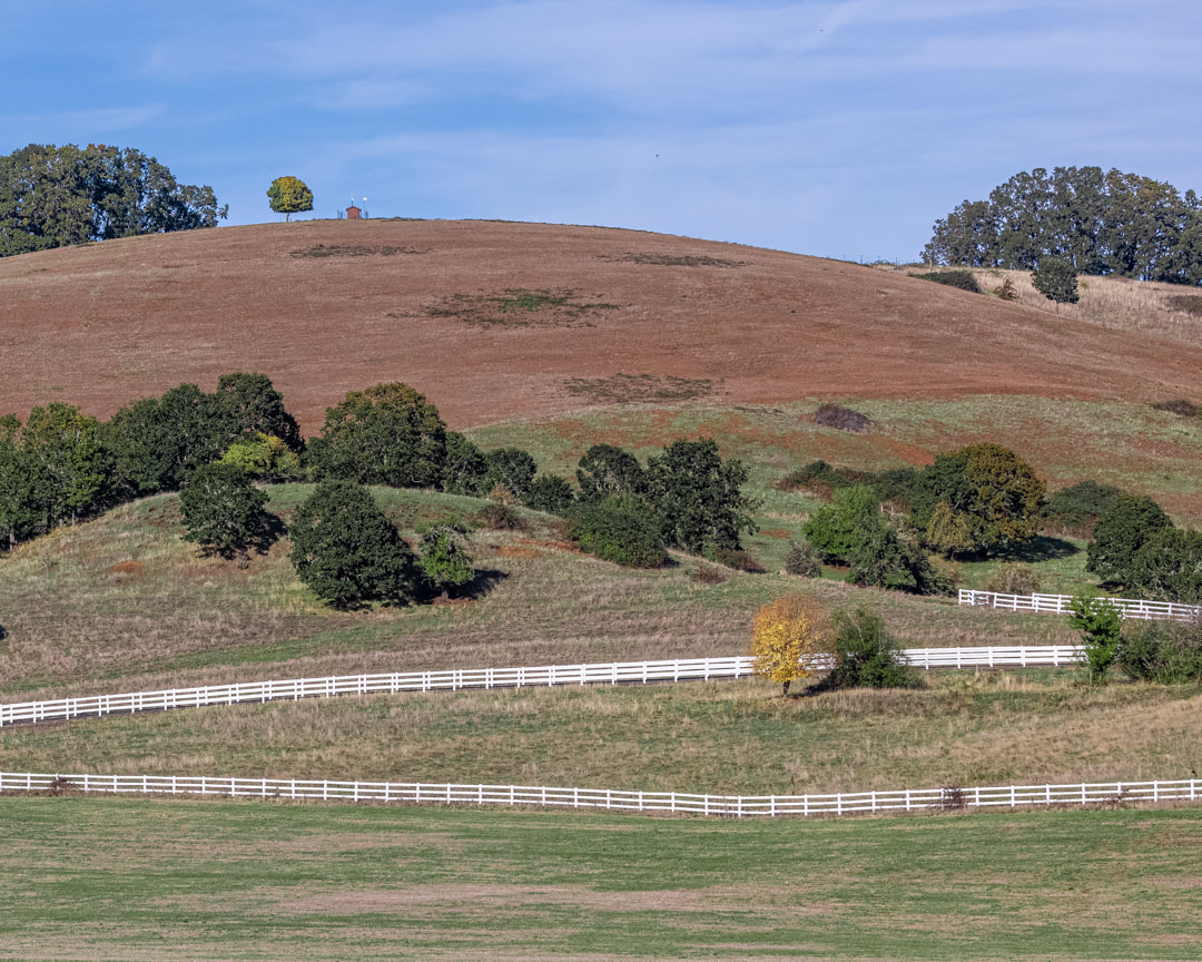 Picturesque scene of hillside on SW Masonville Rd. near McMinnville, Oregon