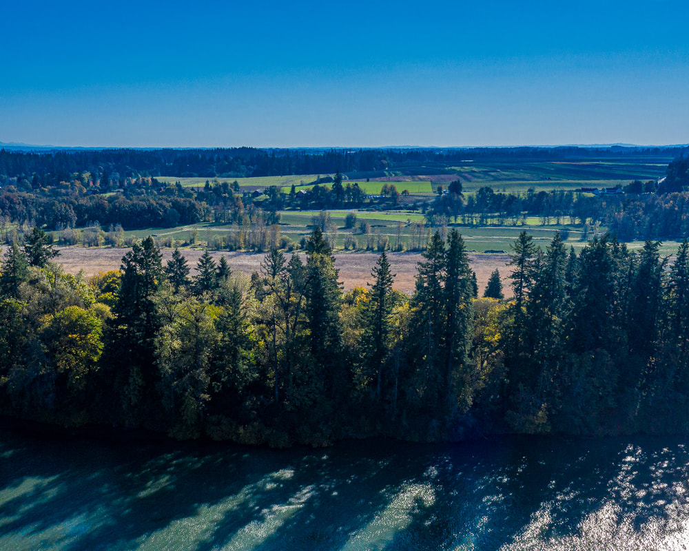Yamhill County Oregon landscape