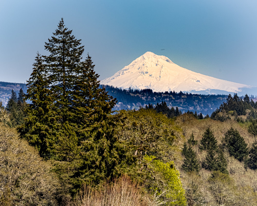 Yamhill County Oregon landscape