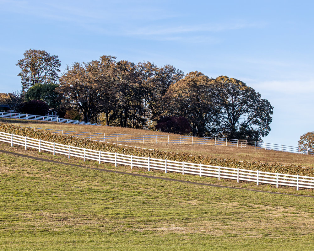 Yamhill County Oregon landscape