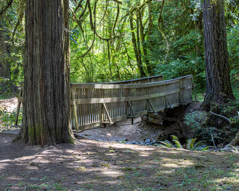 Footbridge over Turner Creek, Yamhill County, Oregon