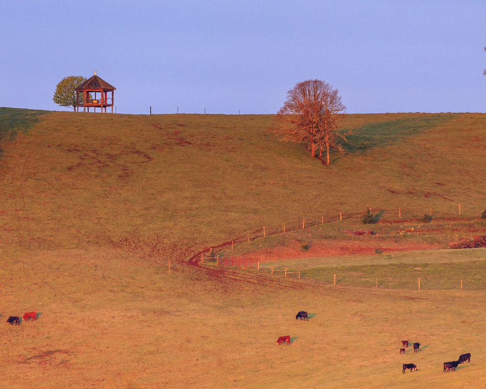 CLose-up view of hillside with gazebo a little SW of McMinnville, Oregon 