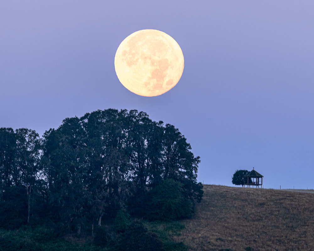 Moon over hillside with gazebo a little SW of McMinnville, Oregon 