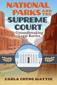 New Book By NMBA Member Carla Chung Mattix