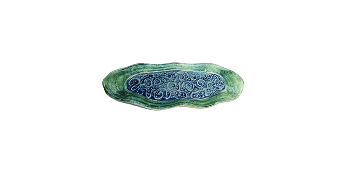 Porcelain platter (oval): D3