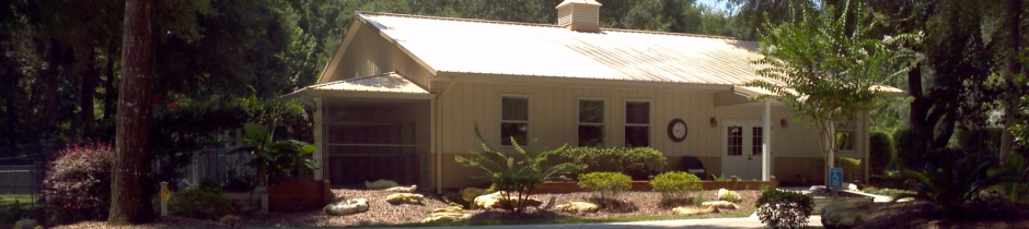 Reputable Yorkie Breeder near Gainesville near Jacksonville Florida